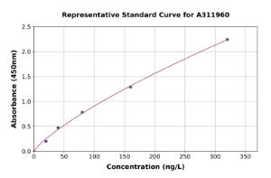 Representative standard curve for Mouse CDKN2A/p16INK4a ELISA kit (A311960)