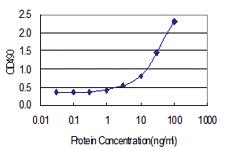 Anti-PSMD5 Polyclonal Antibody Pair