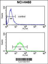 Anti-EFEMP1 Rabbit Polyclonal Antibody (AP (Alkaline Phosphatase))