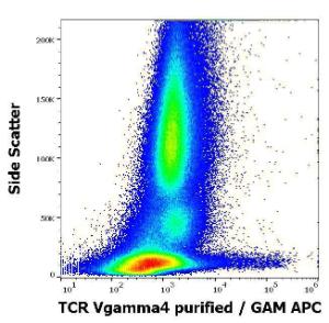 Flow cytometric analysis of human peripheral whole blood stained with Anti-TCR V gamma 4 Antibody [4A11.904] (concentration in sample 4 µg/ml, GAM-APC)