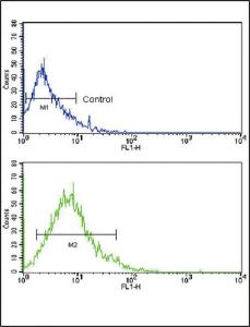 Anti-SLC2A2 Rabbit Polyclonal Antibody (Biotin)