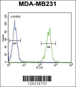 Anti-CYP2A7 Rabbit Polyclonal Antibody