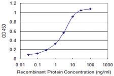 Anti-FXN Mouse Monoclonal Antibody [clone: 1D9]