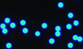 Microparticles based on polymethacrylate