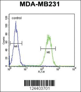 Anti-PRSS3 Rabbit Polyclonal Antibody