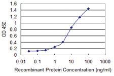 Anti-DPP3 Mouse Monoclonal Antibody [clone: 3C6]