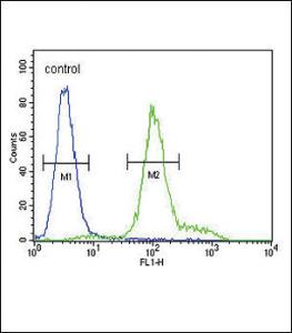 Anti-IL12RB2 Rabbit Polyclonal Antibody (PE (Phycoerythrin))