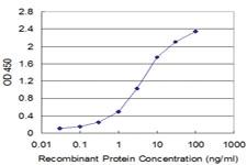 Anti-FXN Mouse Monoclonal Antibody [clone: 3E7]