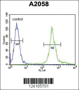 Anti-MRPS24 Rabbit Polyclonal Antibody