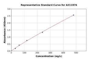 Representative standard curve for Human BCS1L ELISA kit (A311976)