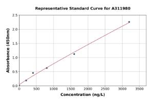 Representative standard curve for Mouse Kallikrein 8/KLK8 ELISA kit (A311980)