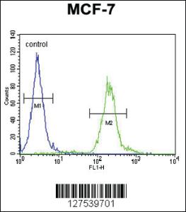 Anti-AVPI1 Rabbit Polyclonal Antibody