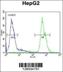 Anti-MAMSTR Rabbit Polyclonal Antibody (AP (Alkaline Phosphatase))