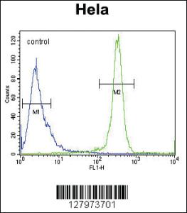 Anti-APOL6 Rabbit Polyclonal Antibody