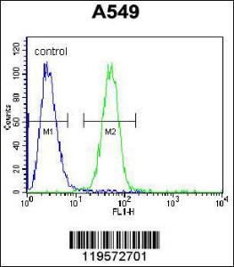 Anti-CARD16 Rabbit Polyclonal Antibody (PE (Phycoerythrin))