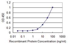 Anti-LCMT1 Mouse Monoclonal Antibody [clone: 3D3]