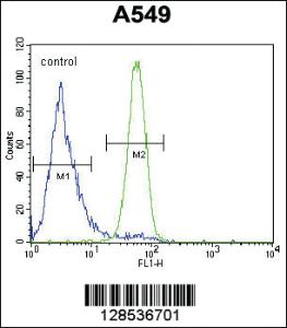 Anti-FSTL1 Rabbit Polyclonal Antibody