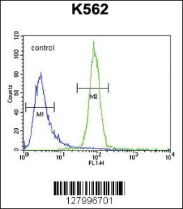 Anti-OR52A1 Rabbit Polyclonal Antibody