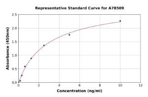 Representative standard curve for Human N Cadherin ELISA kit (A78509)