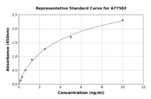 Representative standard curve for Mouse WISP2 ELISA kit (A77502)