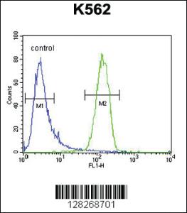 Anti-GAGE13 Rabbit Polyclonal Antibody