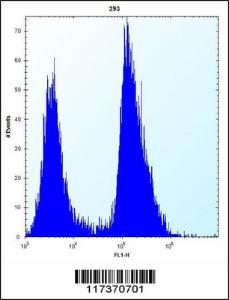 Anti-TRIP13 Rabbit Polyclonal Antibody