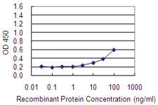 Anti-FBXL7 Mouse Monoclonal Antibody [clone: 2G10]