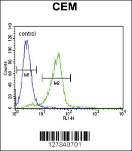 Anti-ABCC3 Rabbit Polyclonal Antibody