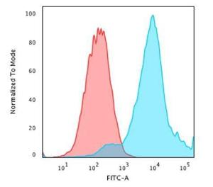 Flow cytometric analysis of PFA fixed MCF-7 cells using Anti-HSP27 Antibody [G3.1] followed by Goat Anti-Mouse IgG (CF&#174; 488) (Blue). Isotype Control (Red)