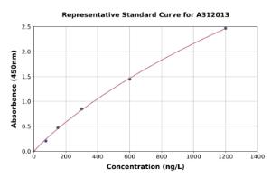 Representative standard curve for Mouse ADAM15 ELISA kit (A312013)