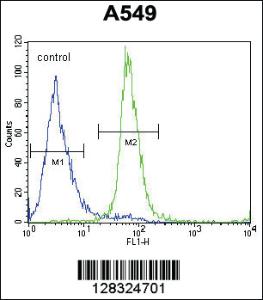 Anti-ZNF324B Rabbit Polyclonal Antibody