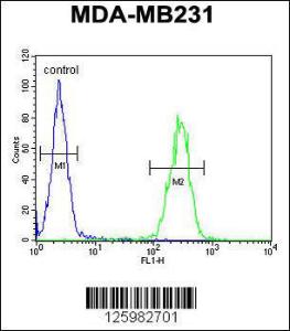 Anti-IL36A Rabbit Polyclonal Antibody