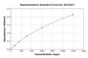 Representative standard curve for Human TRIM54 ELISA kit (A312017)