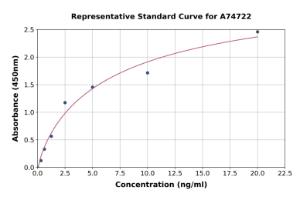 Representative standard curve for Human Collagen X alpha 1 ELISA kit (A74722)