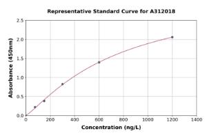 Representative standard curve for Human RNF207 ELISA kit (A312018)