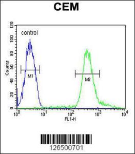 Anti-TSHZ2 Rabbit Polyclonal Antibody (APC (Allophycocyanin))