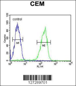 Anti-MAP1S Rabbit Polyclonal Antibody (FITC (Fluorescein Isothiocyanate))