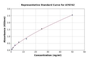 Representative standard curve for Human IFI44 ELISA kit (A76742)