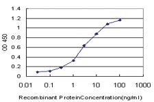 Anti-TSPAN32 Mouse Monoclonal Antibody [clone: 2B4]