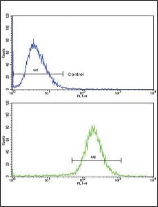 Anti-SCP2 Rabbit Polyclonal Antibody (PE (Phycoerythrin))