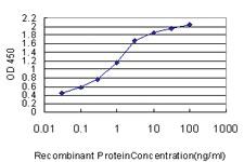 Anti-MPG Mouse Monoclonal Antibody [clone: 1E10]