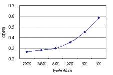 Anti-BCS1L Antibody Pair