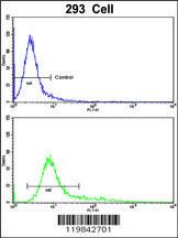 Anti-TSHZ1 Rabbit Polyclonal Antibody