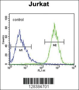 Anti-PRRG3 Rabbit Polyclonal Antibody