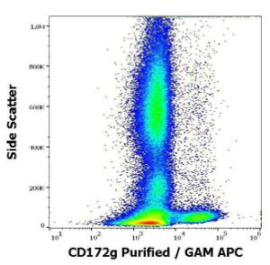 Flow cytometry analysis (surface staining) of human peripheral whole blood stained using Anti-CD172 gamma Antibody [OX-119] (concentration in sample 1.7 µg/ml, GAM-APC)