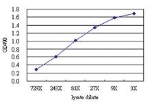 Anti-DNMBP Antibody Pair