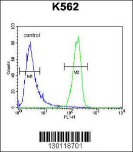 Anti-ATP8A2 Rabbit Polyclonal Antibody (FITC (Fluorescein Isothiocyanate))