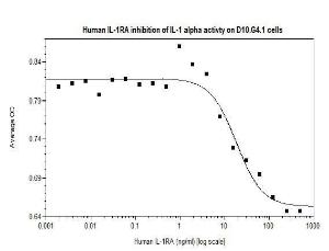 Human recombinant IL-1RA (from<i>E. coli</i>)