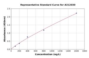 Representative standard curve for Mouse FCGRT/FCRN ELISA kit (A312030)