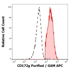 Separation of CD172g positive lymphocytes stained with Anti-CD172 gamma Antibody [OX-119] (concentration in sample 1.7 µg/ml, GAM-APC, red-filled) from lymphocytes unstained by primary antibody (GAM-APC, black-dashed) in flow cytometry analysis (surface staining)